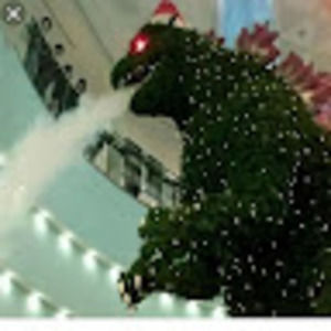 Meet your Posher, Carolyn